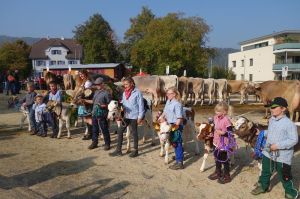 k-9Klberwettbewerb mit Barbara Rohrer